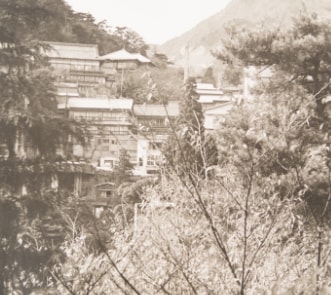 昭和50年 杉屋から見た寿亭望城閣